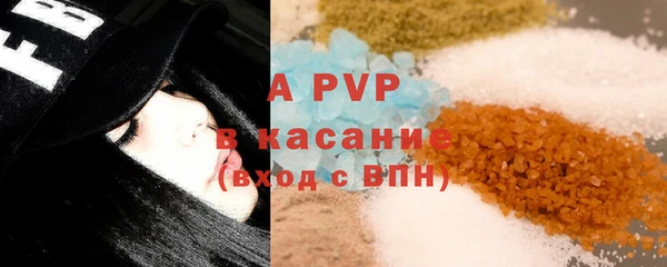 стаф Богородицк