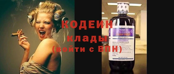стаф Богородицк