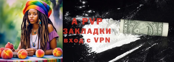 стаф Богородицк