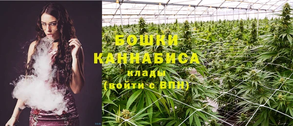 стаф Богородицк